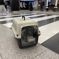 Переноска Departures Range 60х40х40 см, авиапереноска Pet Choice стандарт IATA для животных до 10 кг
