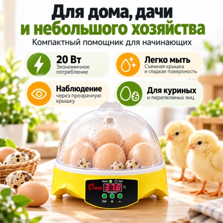 Инкубатор HHD 7 мини автоматический на 7 яиц