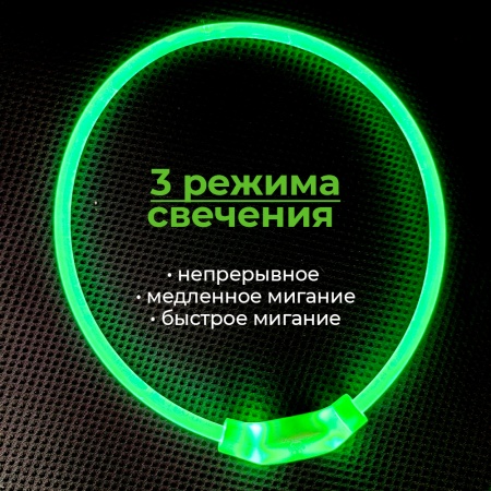 Ошейник светящийся светодиодный для собак с USB зарядкой 55 см, прозрачный с зеленым