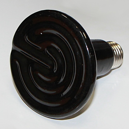 100-90105_1
