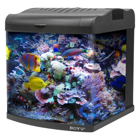 Аквариум Boyu Mini MT-508A, 80 л, с фильтром, 1 LED лампа, серый​