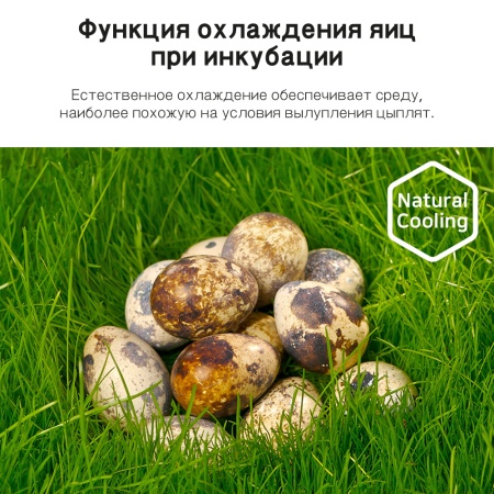 Инкубатор Rcom King Suro 20 MAX автоматический для яиц